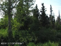 16200 Carl Street, Anchorage, AK 99516 