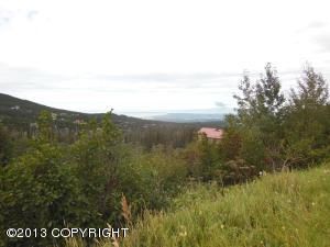 L14 B2 Kings Way Drive, Anchorage, AK 99516 