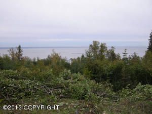5912 Romania Drive, Anchorage, AK 99516 