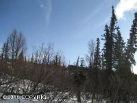 8900 Cinerama Circle, Anchorage, AK 99516 
