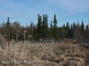 L10A B1 Downy Finch Drive, Anchorage, AK 99516 