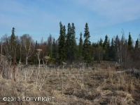 L10A B1 Downy Finch Drive, Anchorage, AK 99516 