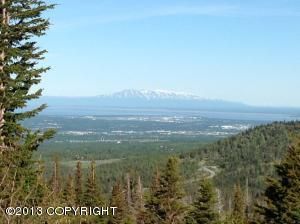 L6 B1 Honey Bear, Anchorage, AK 99516 