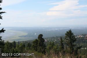 L8 Potter Heights Road, Anchorage, AK 99516 