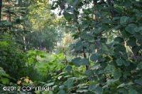 16000 Wind Song Drive, Anchorage, AK 99516 