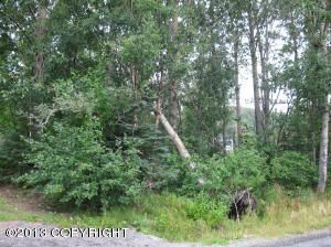 L10 B1 Cox Drive, Anchorage, AK 99516 