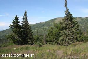 Lot  07 Potter Heights Road, Anchorage, AK 99516 