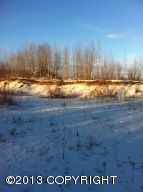 1138 S Beaver Lake Road, Big Lake, AK 99652 