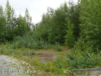 15142 W Crest Drive, Big Lake, AK 99652 