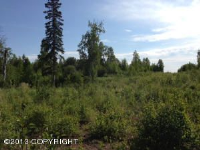 1164 N Beaver Lake Road, Big Lake, AK 99652 