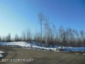 B014 Loon Cove, Big Lake, AK 99652 