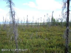 1161 S Rogers Court, Houston, AK 99652 