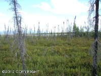 1161 S Rogers Court, Houston, AK 99652 