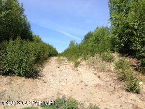 1178 N Beaver Lake Road, Big Lake, AK 99652 
