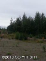 766 S Wolf Road, Big Lake, AK 99652 