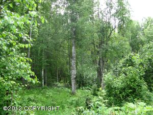 L3 S Echo Lake Road, Big Lake, AK 99652 
