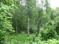 L3 S Echo Lake Road, Big Lake, AK 99652 