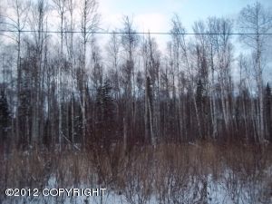 2442 N Backhaus Street, Houston, AK 99652 