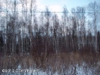 2442 N Backhaus Street, Houston, AK 99652 