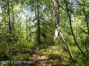 6928 S Big Lake Road, Big Lake, AK 99652 
