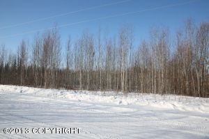 13653 W Klutina Drive, Big Lake, AK 99652 