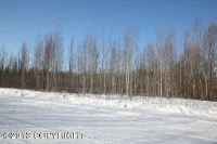 13653 W Klutina Drive, Big Lake, AK 99652 