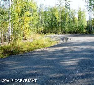 14955 W Wild Rose Circle, Big Lake, AK 99652 