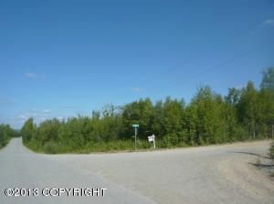 11809 W Wasey Way, Big Lake, AK 99652 
