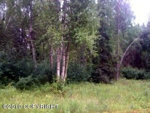 22820 W Diamond Circle, Big Lake, AK 99652 