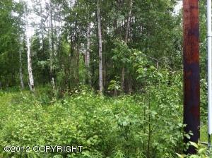 2569 S Knollwood Drive, Big Lake, AK 99652 