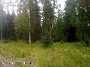 22786 W Diamond Circle, Big Lake, AK 99652 