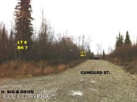1172 N Big B Drive, Big Lake, AK 99652 