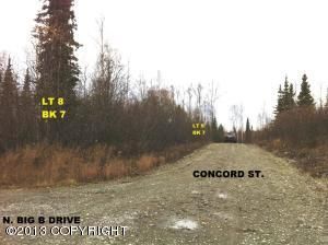 14906 W Concord Street, Big Lake, AK 99652 