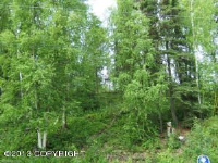 6069 S Shandra Circle, Big Lake, AK 99652 