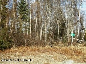 5453 S Kenaka Bena Loop, Big Lake, AK 99652 