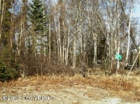 5453 S Kenaka Bena Loop, Big Lake, AK 99652 