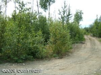 14444 W Siesta, Big Lake, AK 99652 