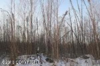 14499 W Siesta Circle, Big Lake, AK 99652 