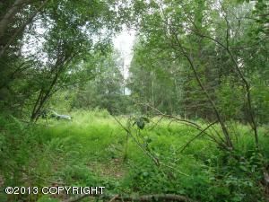 19141 Spruce Crest Drive, Chugiak, AK 99567 