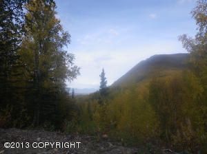 L4A B1 Mountain Road, Chugiak, AK 99567 