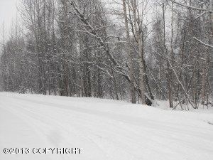 21717 Blair Street, Chugiak, AK 99567 