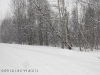 21717 Blair Street, Chugiak, AK 99567 