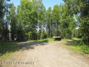 17620 S Birchwood Loop, Chugiak, AK 99577 