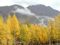 19251 Bernard Drive, Eagle River, AK 99577 