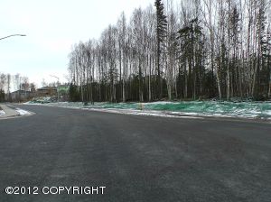 L21 B7 Charmley Circle, Eagle River, AK 99577 