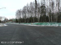 L21 B7 Charmley Circle, Eagle River, AK 99577 