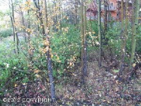 3322 Bear Ridge Circle, Eagle River, AK 99577 