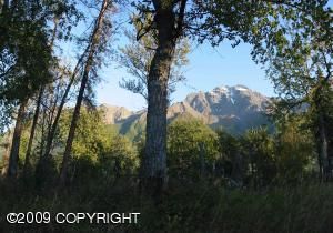 L7 B2 E Riverside Drive, Palmer, AK 99645 