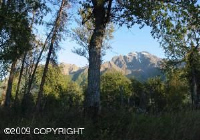 L7 B2 E Riverside Drive, Palmer, AK 99645 