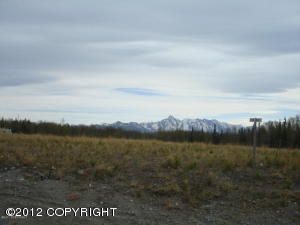 7690 E Riparian Loop, Palmer, AK 99645 